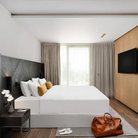 Vinifera Wine & 5 Stars Superior 블로톤퓌레드