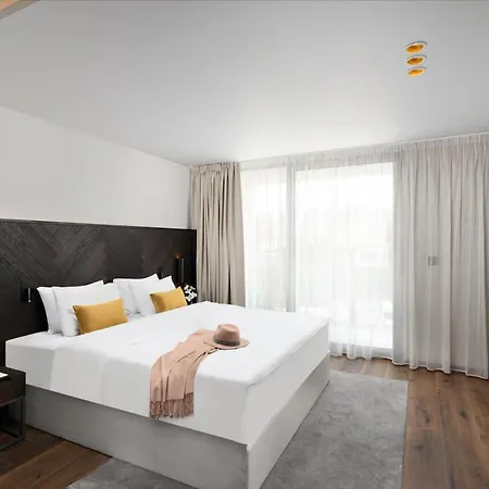 Vinifera Wine & 5 Stars Superior 블로톤퓌레드