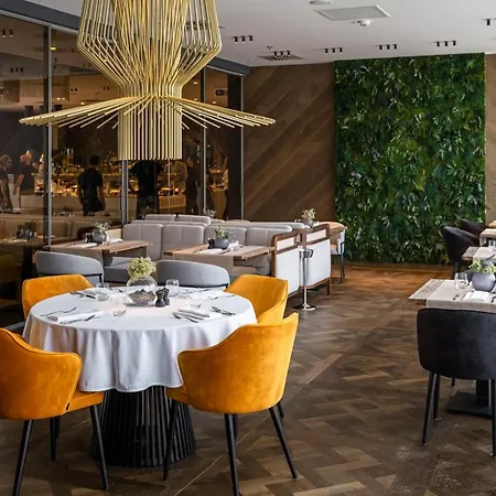 Vinifera Wine & 5 Stars Superior