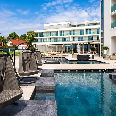 Vinifera Wine & 5 Stars Superior 블로톤퓌레드