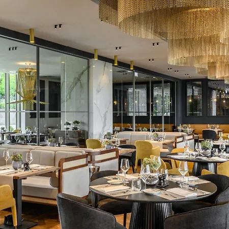 Vinifera Wine & 5 Stars Superior 블로톤퓌레드