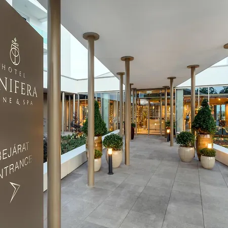 Vinifera Wine & 5 Stars Superior 호텔 블로톤퓌레드