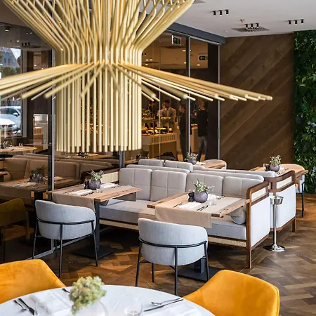 Vinifera Wine & 5 Stars Superior Hotel