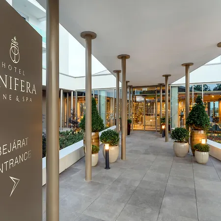 Vinifera Wine & 5 Stars Superior Отель