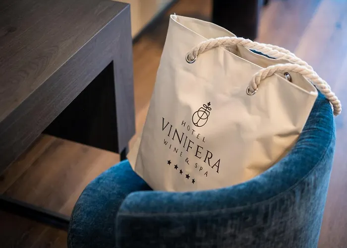 ホテル Vinifera Wine & 5 Stars Superior バラトンフレド