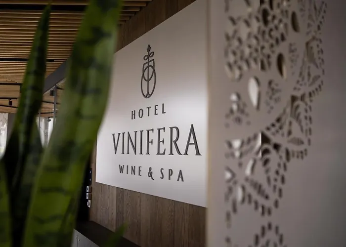 Vinifera Wine & 5 Stars Superior ホテル 5*