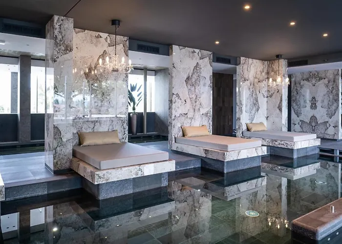 Vinifera Wine & 5 Stars Superior