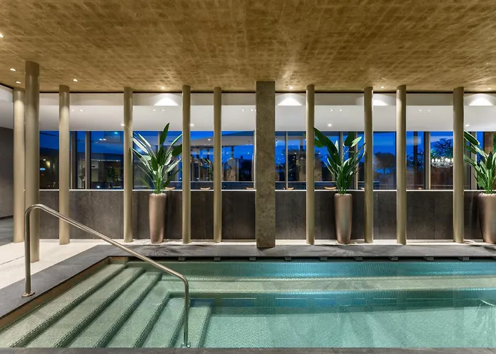 Vinifera Wine & 5 Stars Superior