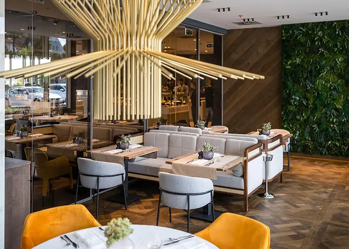 Vinifera Wine & 5 Stars Superior Hotel